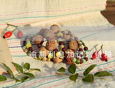 逾期利息加记增值税 逾期利息加记增值税