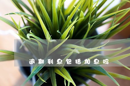 逾期利息包括加息吗 逾期利息包括加息吗