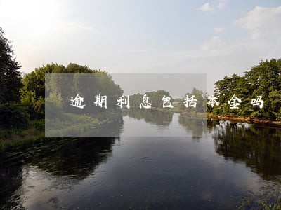 逾期利息包括本金吗 逾期利息包括本金吗