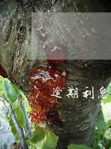 逾期利息千分之八合法吗 逾期利息千分之八合法吗
