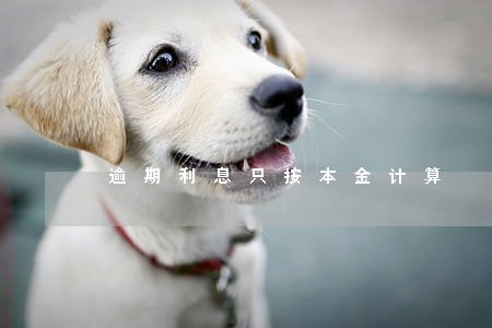 逾期利息只按本金计算 逾期利息只按本金计算