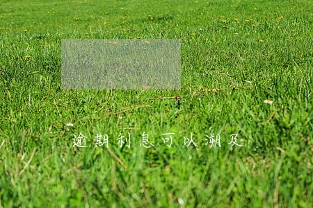 逾期利息可以溯及 逾期利息可以溯及