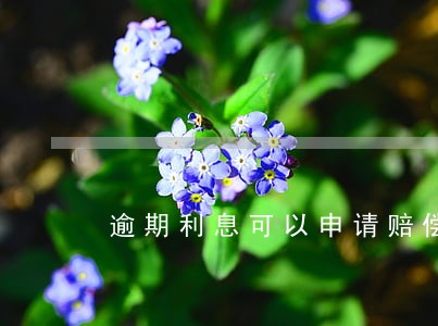 逾期利息可以申请赔偿多少钱 逾期利息可以申请赔偿多少钱