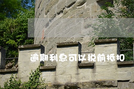 逾期利息可以税前抵扣 逾期利息可以税前抵扣