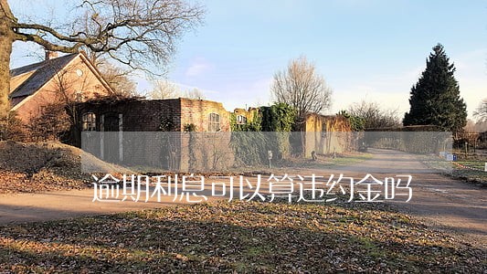 逾期利息可以算违约金吗 逾期利息可以算违约金吗