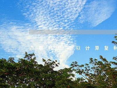 逾期利息可以计算复利 逾期利息可以计算复利