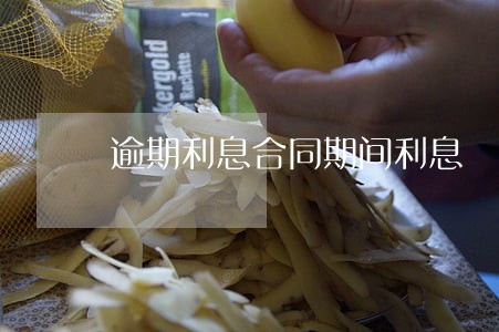 逾期利息合同期间利息 逾期利息合同期间利息