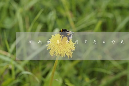逾期利息合同里怎么约定 逾期利息合同里怎么约定