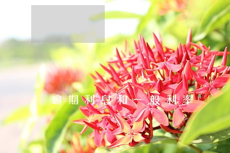 逾期利息和一般利率 逾期利息和一般利率