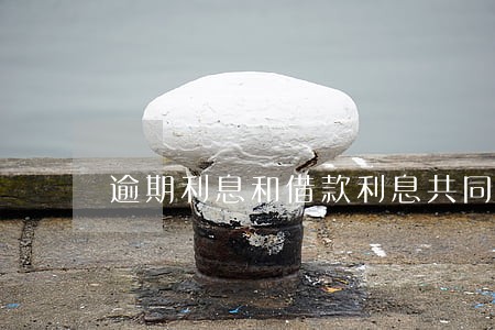 逾期利息和借款利息共同主张 逾期利息和借款利息共同主张