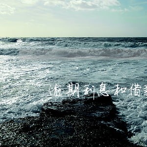 逾期利息和借款利息怎么算 逾期利息和借款利息怎么算