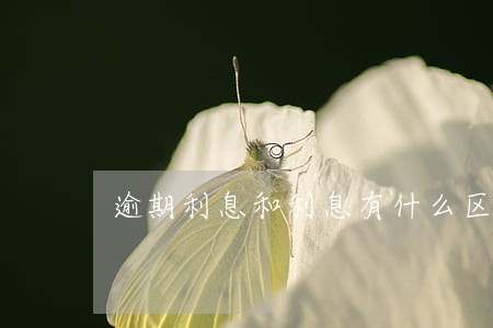 逾期利息和利息有什么区别 逾期利息和利息有什么区别