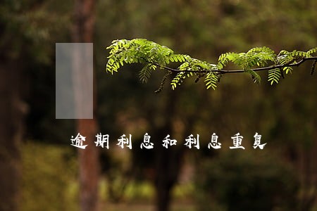 逾期利息和利息重复