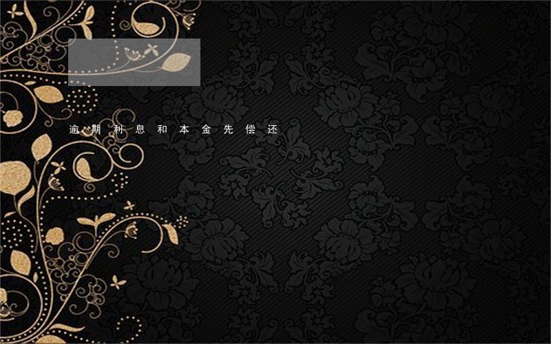 逾期利息和本金先偿还 逾期利息和本金先偿还