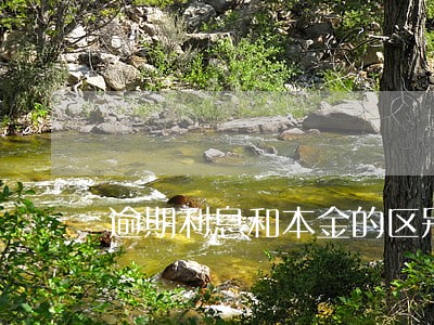 逾期利息和本金的区别 逾期利息和本金的区别