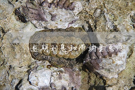 逾期利息和滞纳金总涨 逾期利息和滞纳金总涨