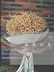 逾期利息和滞纳金法律规定