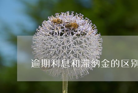 逾期利息和滞纳金的区别
