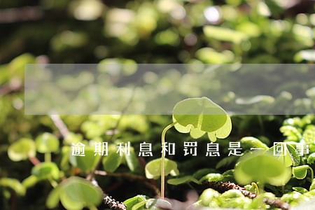 逾期利息和罚息是一回事吗 逾期利息和罚息是一回事吗