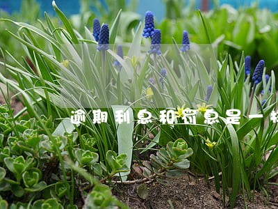 逾期利息和罚息是一样的吗 逾期利息和罚息是一样的吗