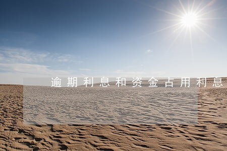 逾期利息和资金占用利息区别 逾期利息和资金占用利息区别