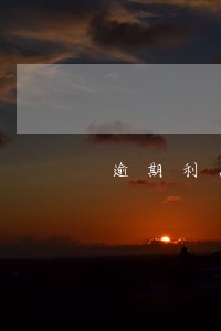 逾期利息和赔偿金 逾期利息和赔偿金