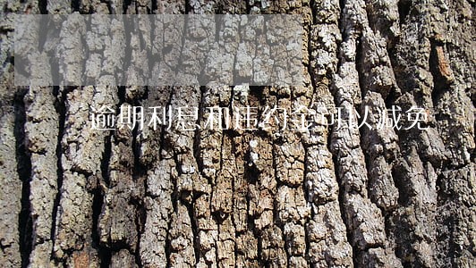 逾期利息和违约金可以减免 逾期利息和违约金可以减免
