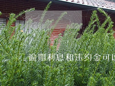 逾期利息和违约金可以同时 逾期利息和违约金可以同时