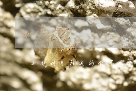 逾期利息和违约金可税前扣除吗 逾期利息和违约金可税前扣除吗