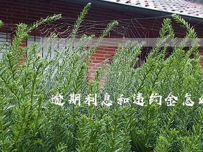 逾期利息和违约金怎么算 逾期利息和违约金怎么算