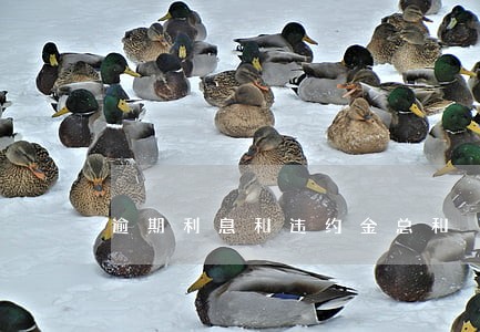 逾期利息和违约金总和