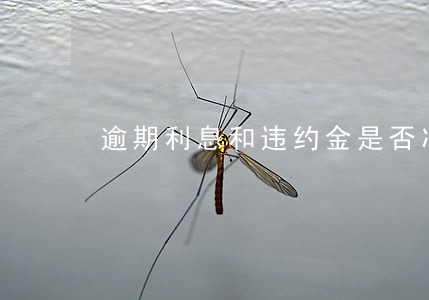 逾期利息和违约金是否冲突 逾期利息和违约金是否冲突