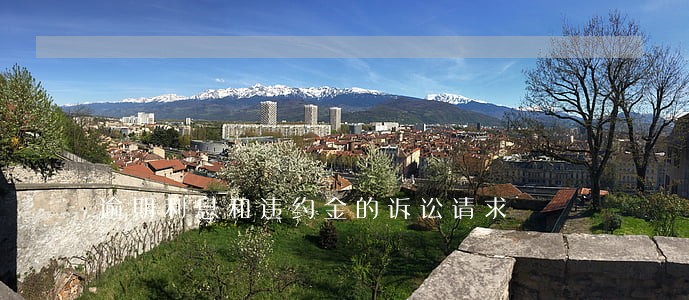 逾期利息和违约金的诉讼请求 逾期利息和违约金的诉讼请求