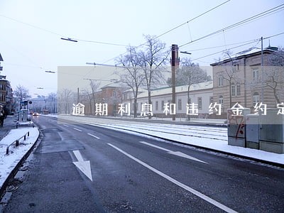 逾期利息和违约金约定 逾期利息和违约金约定