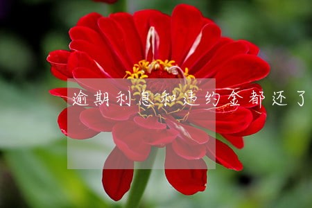 逾期利息和违约金都还了 逾期利息和违约金都还了