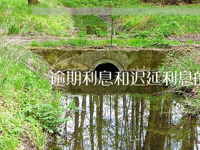 逾期利息和迟延利息的区别 逾期利息和迟延利息的区别