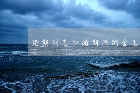 逾期利息和逾期滞纳金怎么算的 逾期利息和逾期滞纳金怎么算的