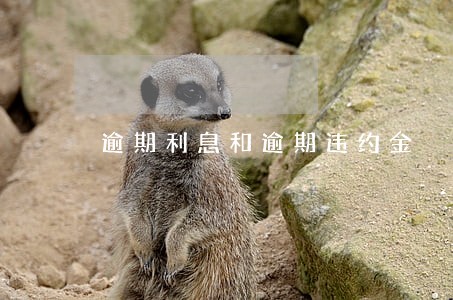 逾期利息和逾期违约金