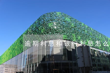 逾期利息和银行利息怎么算利息 逾期利息和银行利息怎么算利息
