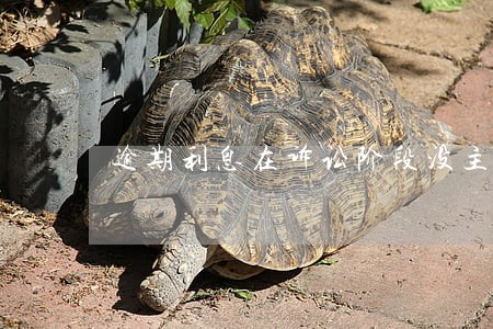 逾期利息在诉讼阶段没主张 逾期利息在诉讼阶段没主张