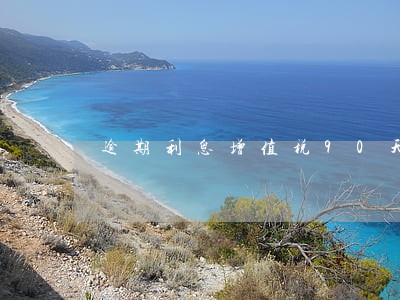 逾期利息增值税90天 逾期利息增值税90天