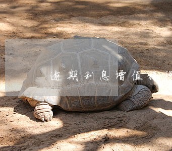 逾期利息增值税税率 逾期利息增值税税率