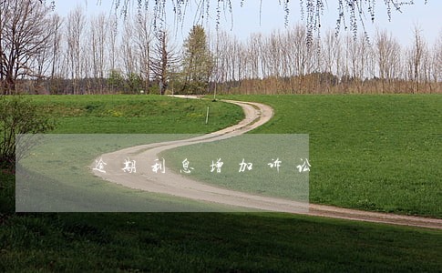 逾期利息增加诉讼 逾期利息增加诉讼