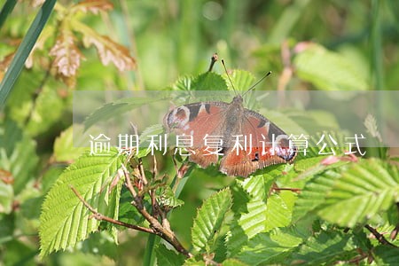 逾期利息复利计算公式 逾期利息复利计算公式