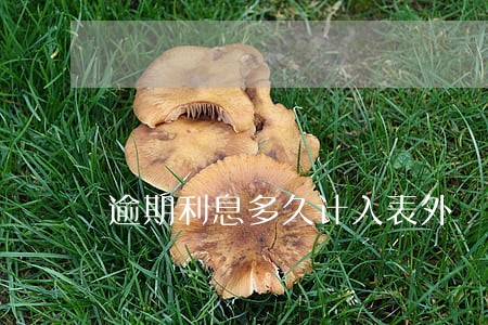 逾期利息多久计入表外 逾期利息多久计入表外