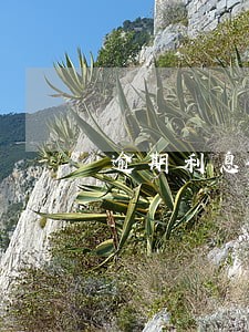 逾期利息天数算头又算尾 逾期利息天数算头又算尾