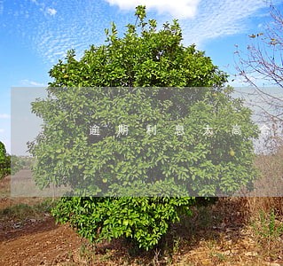 逾期利息太高合法吗 逾期利息太高合法吗