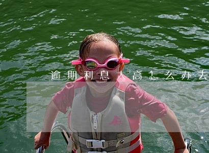 逾期利息太高怎么办去哪里投诉