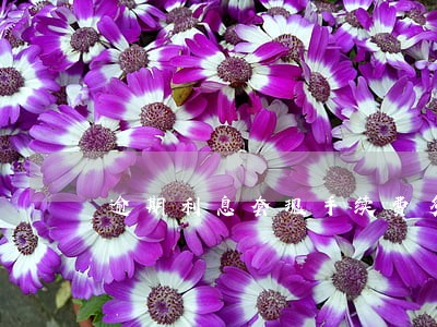 逾期利息套现手续费多少 逾期利息套现手续费多少