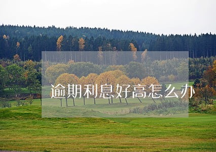 逾期利息好高怎么办 逾期利息好高怎么办